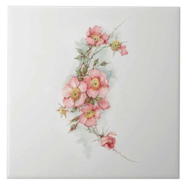 Vintage Handpainted Style Wild Roses Ceramic Tile (Front)