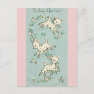 Vintage Happy Birthday Lambs Postcard