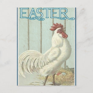Vintage Happy Easter Chicken Postcard