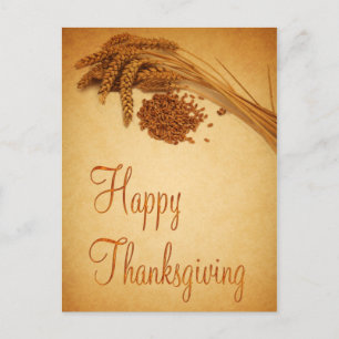 Vintage Happy Thanksgiving Wheat Corn Holiday Postcard