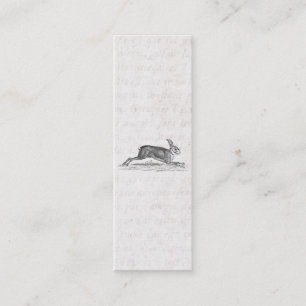 Vintage Hare Bunny Rabbit 1800s Illustration Mini Business Card