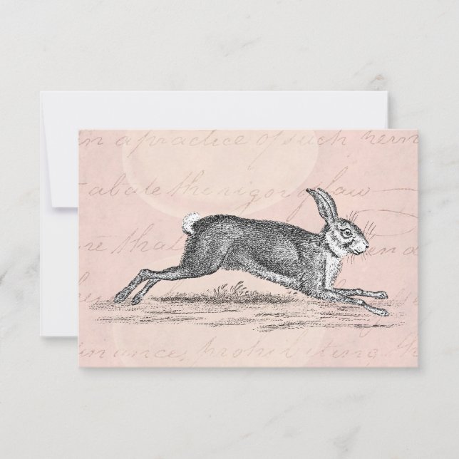 Vintage Hare Bunny Rabbit Illustration - Rabbits (Front)