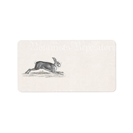 Vintage Hare Bunny Rabbit Illustration - Rabbits Address Label