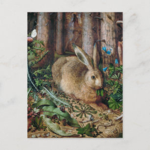 Vintage Hare in the Forest - Hans Hoffmann Postcard