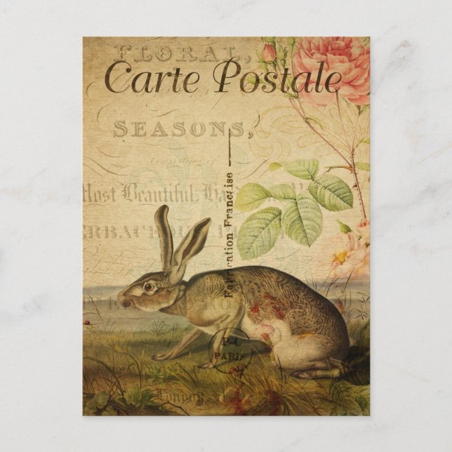 Vintage Hare Rabbit Floral Flowers French Postcard (Front)