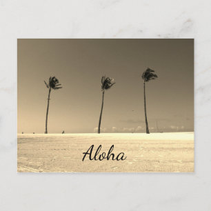 Vintage Hawaii Aloha Postcard