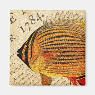 Vintage Hawaiian Butterfly Fish Customised Fishes Magnet
