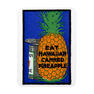 Vintage Hawaiian Pineapple Magnet