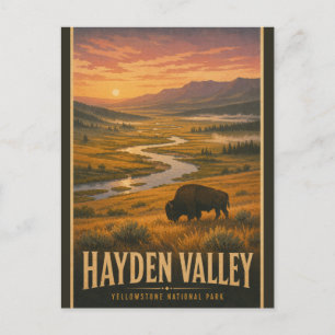 Vintage Hayden Valley Yellowstone National Park Postcard
