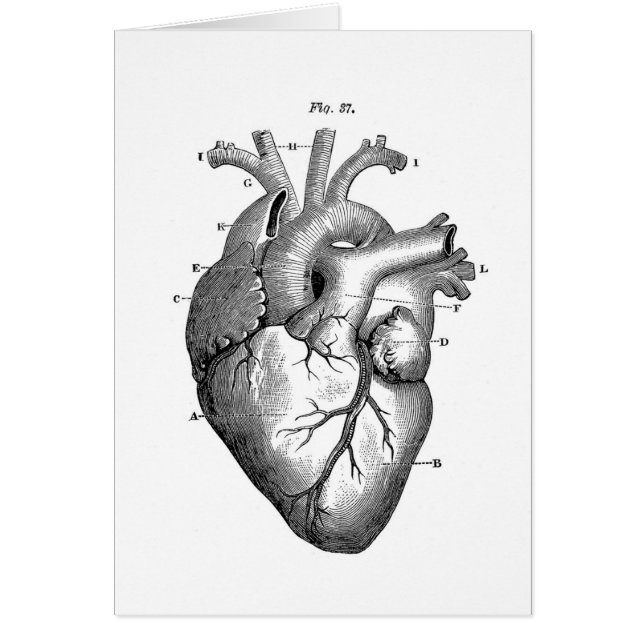 Vintage Heart Anatomy | Customisable (Front)