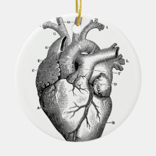 Vintage Heart Anatomy Customisable Ceramic Tree Decoration
