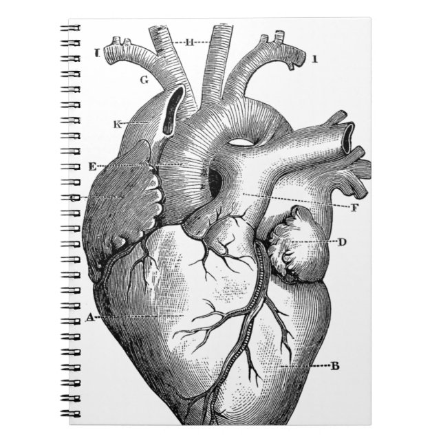 Vintage Heart Anatomy | Customisable Notebook (Front)