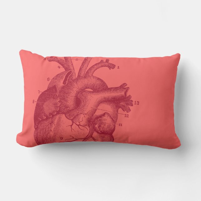 Vintage Heart - anatomy Lumbar Cushion (Front)