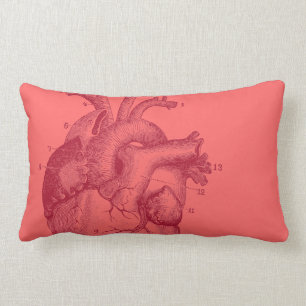 Vintage Heart - anatomy Lumbar Cushion