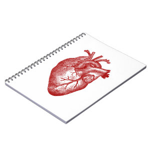 Vintage Heart Anatomy Notebook