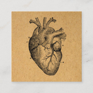 Vintage Heart Diagram Illustration Vintage Art Enclosure Card