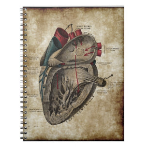 Vintage Heart Diagram Notebook