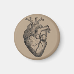Vintage Heart Illustration Magnet