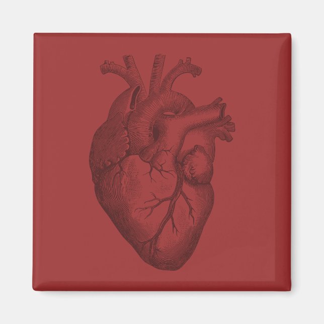 Vintage Heart Illustration Magnet (Front)