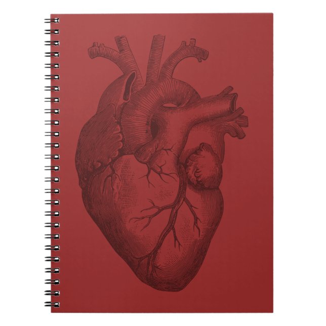 Vintage Heart Illustration Notebook (Front)