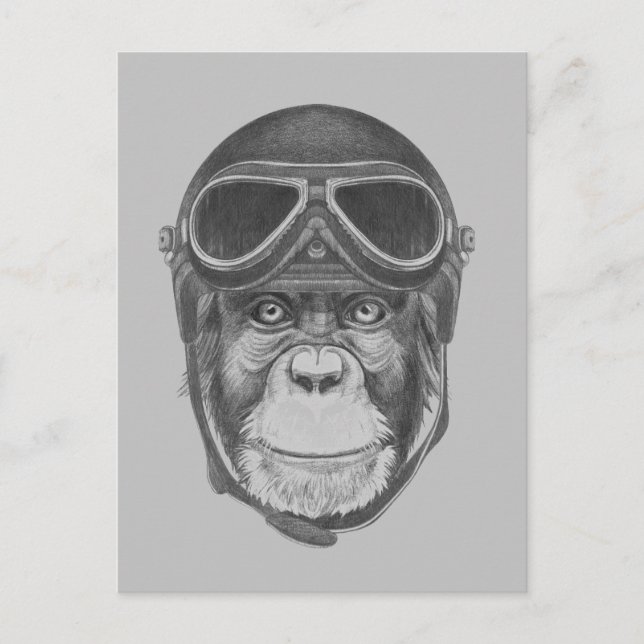 Vintage Helmet Chimpanzee Postcard (Front)