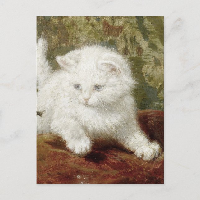 Vintage Henriette Ronner-Knip Curiousity Postcard (Front)