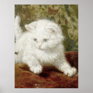 Vintage Henriette Ronner-Knip Curiousity Poster