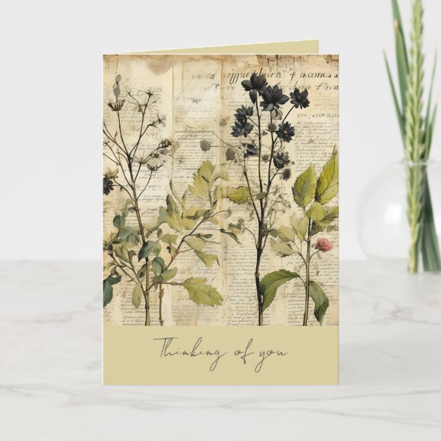 Vintage Herb Thinking of You  Thank You Card (Front)