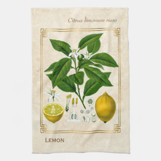 Vintage Herbal Plant Lemon Fruit Botanical Art Tea Towel