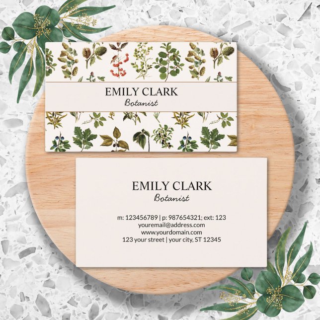 Vintage Herbarium Green Plant leaves Business Card (Front and Back)