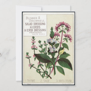 Vintage herbs Art Invitation