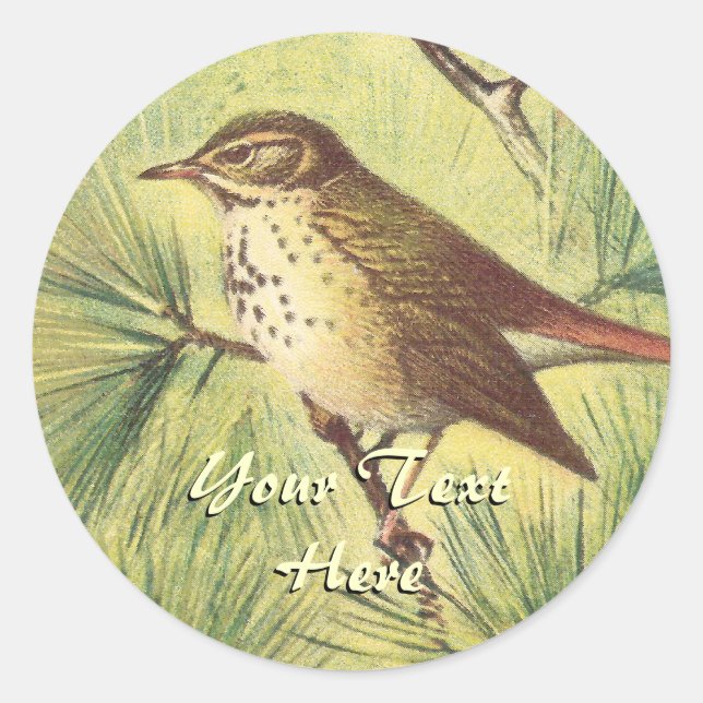 Vintage Hermit Thrush Stickers (Front)