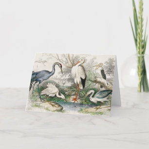 Vintage Heron Stork and Crane Nature Art Print Holiday Card