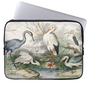 Vintage Heron Stork and Crane Nature Art Print Laptop Sleeve