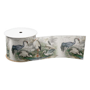 Vintage Heron Stork and Crane Nature Art Print Satin Ribbon