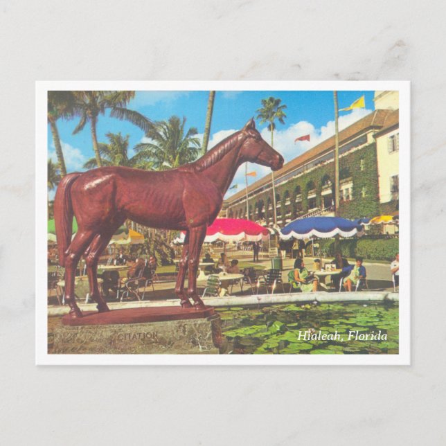 Vintage Hialeah Florida Postcard (Front)