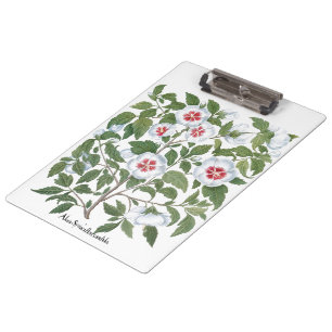 Vintage Hibiscus Flowers by Basilius Besler Clipboard