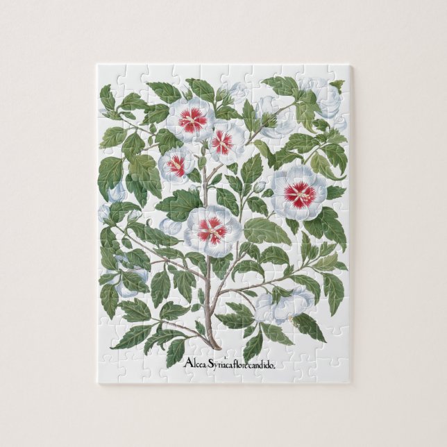 Vintage Hibiscus Flowers by Basilius Besler Jigsaw Puzzle (Vertical)