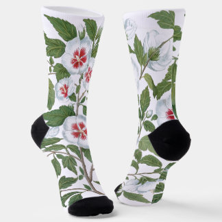 Vintage Hibiscus Flowers by Basilius Besler Socks