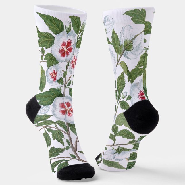 Vintage Hibiscus Flowers by Basilius Besler Socks (Angled)