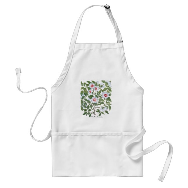 Vintage Hibiscus Flowers by Basilius Besler Standard Apron (Front)