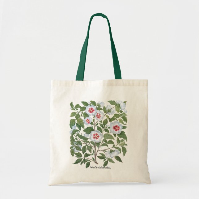 Vintage Hibiscus Flowers by Basilius Besler Tote Bag (Front)