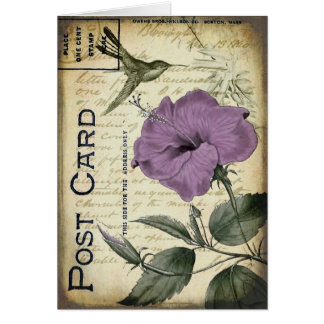 Vintage Hibiscus Hummingbird