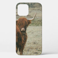 VINTAGE HIGHLAND CATTLE COW PHOTO