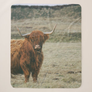 VINTAGE HIGHLAND CATTLE COW PHOTO SHERPA BLANKET