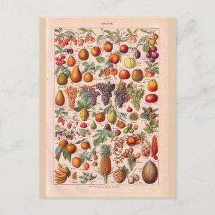 Vintage historic fruit postcard