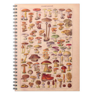 Vintage historic, Mushrooms Notebook