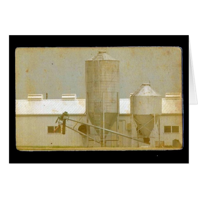 Vintage Hog Barn (Front Horizontal)