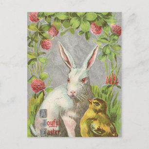 Vintage Holiday Bunny Easter Postcard