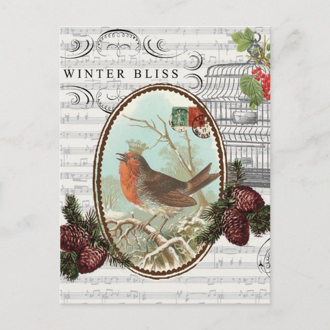Vintage Holiday-Winter Bird-Postcard Holiday Postcard (Front)